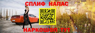 шишки Партизанск